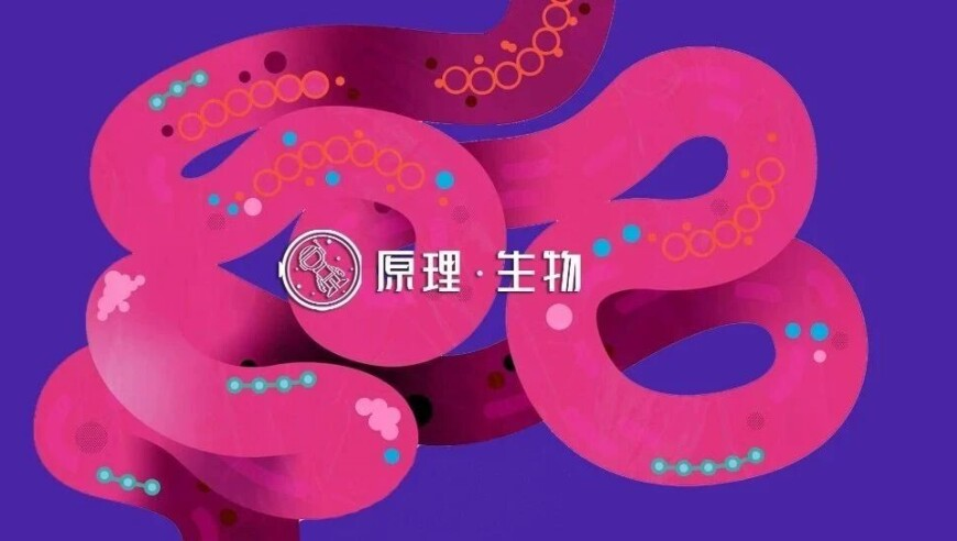 人民日报：我们已与美打了8年贸易战,澳门九年老玩家,前瞻性战略落实探讨_交互版V11.16