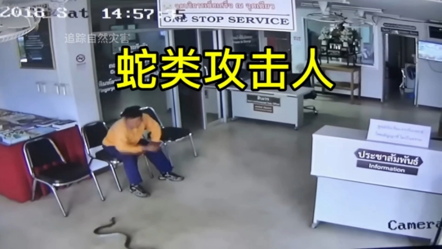 六旬母亲为车祸去世的儿孙扫墓,ww4949现场直播开奖,准确资料解释落实_精英版V5.92